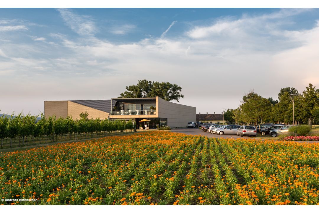 Kalandahaus beim Weingut Esterházy